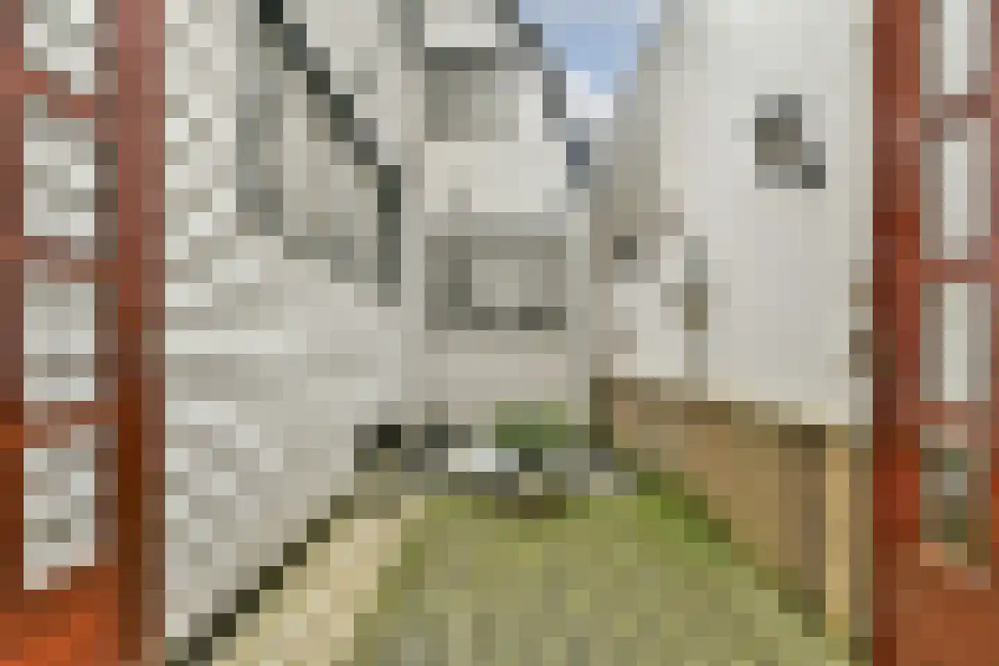 Muiderstraat 8 H Amsterdam thumbnail 9