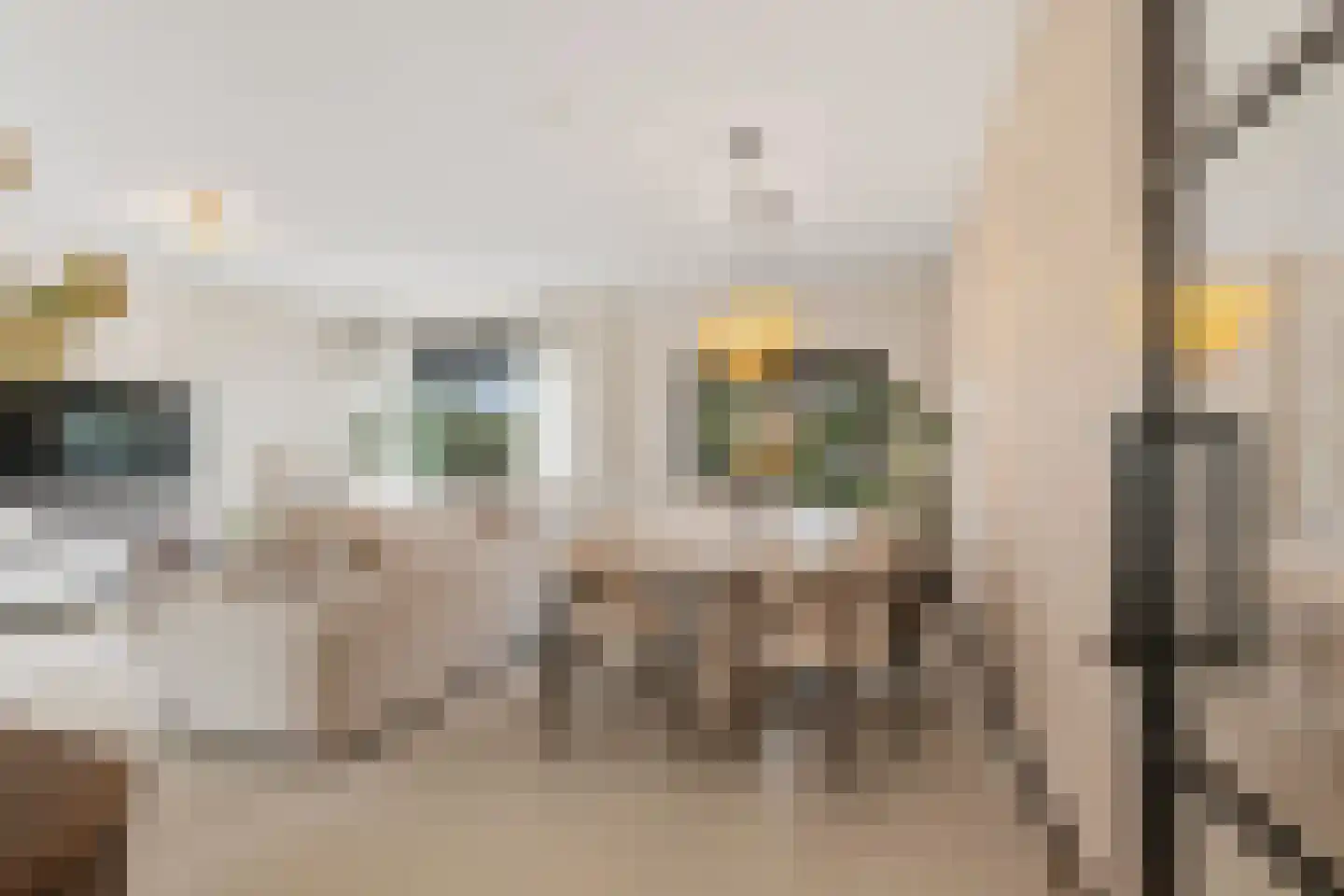 Muiderstraat 93 Berkel en Rodenrijs thumbnail 13