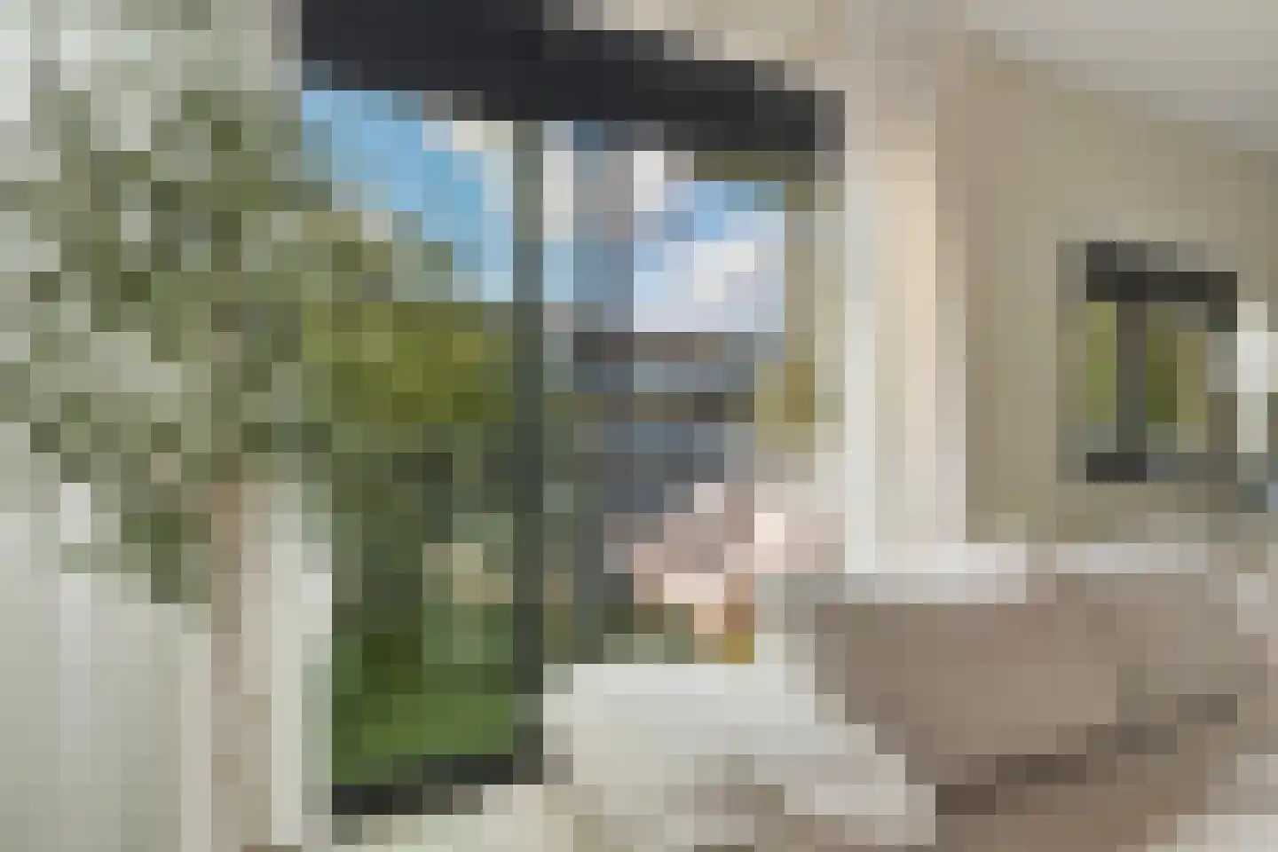 Muiderstraat 93 Berkel en Rodenrijs thumbnail 16