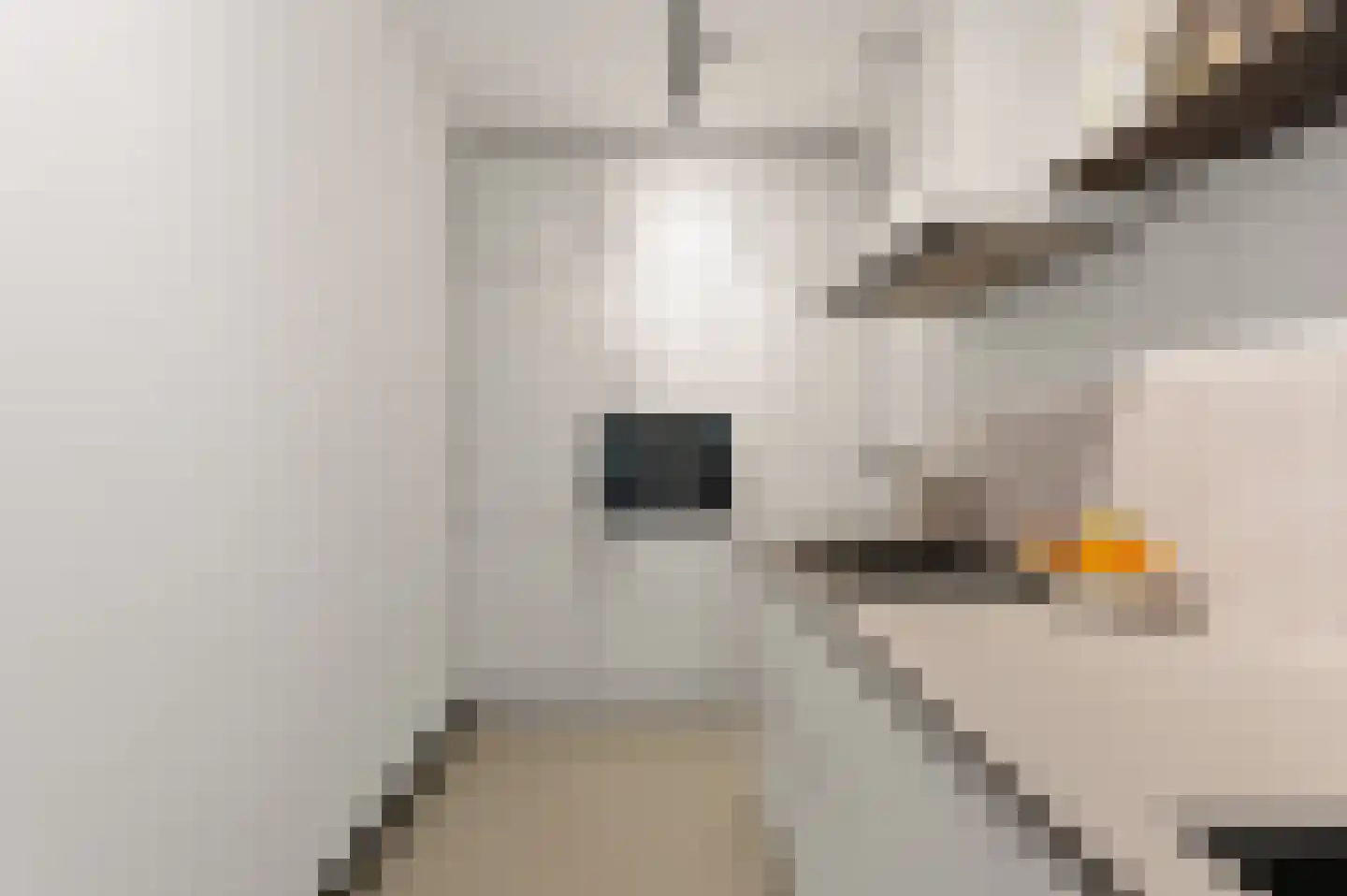 Muiderstraat 93 Berkel en Rodenrijs thumbnail 20