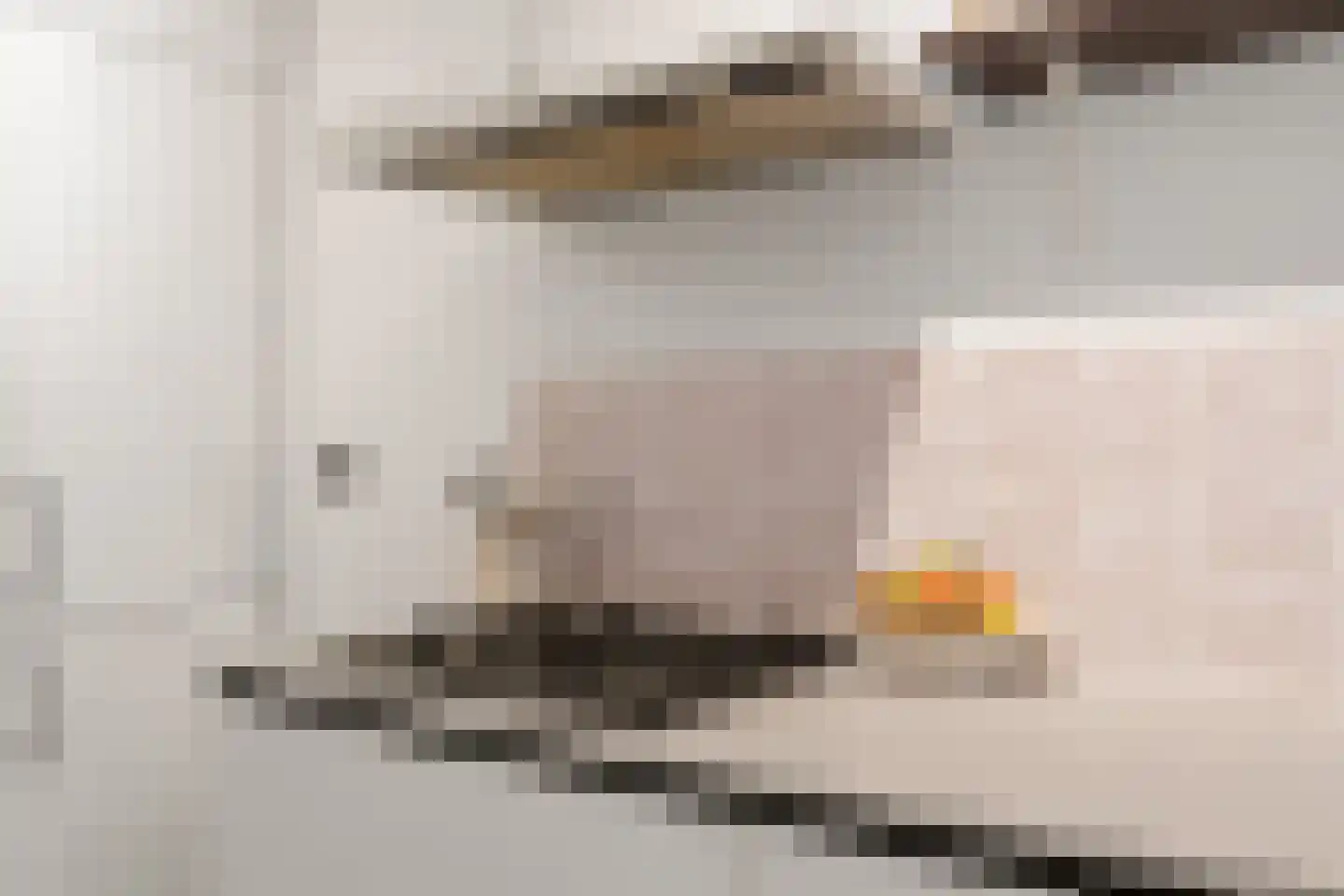 Muiderstraat 93 Berkel en Rodenrijs thumbnail 22