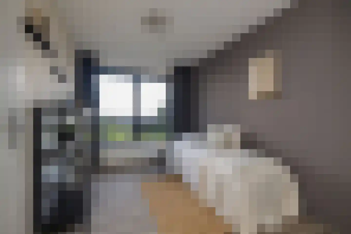 Muiderstraat 98 Berkel en Rodenrijs thumbnail 15