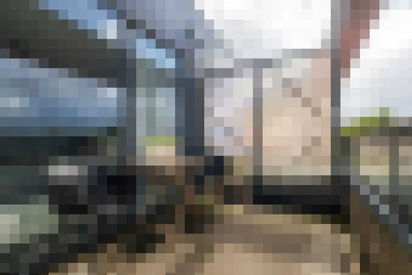 Muiderstraat 98 Berkel en Rodenrijs thumbnail 22