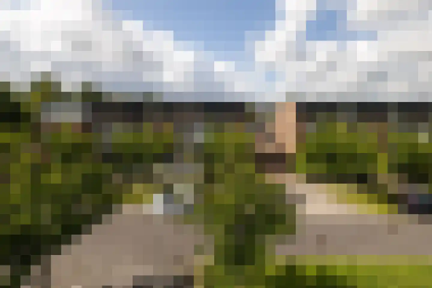 Muiderstraat 98 Berkel en Rodenrijs thumbnail 24