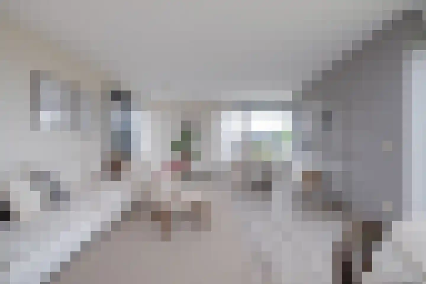 Muiderstraat 98 Berkel en Rodenrijs thumbnail 4