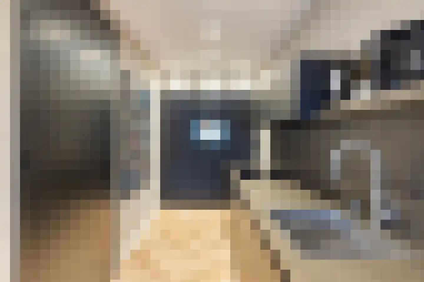 Muiderstraat 99 Berkel en Rodenrijs thumbnail 4