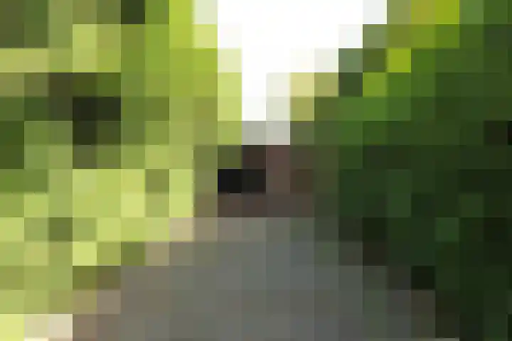 Muidertrekvaart 2 WNSP Muiden thumbnail 18