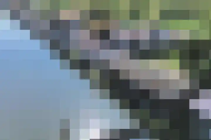 Muidertrekvaart 2 WNSP Muiden thumbnail 22