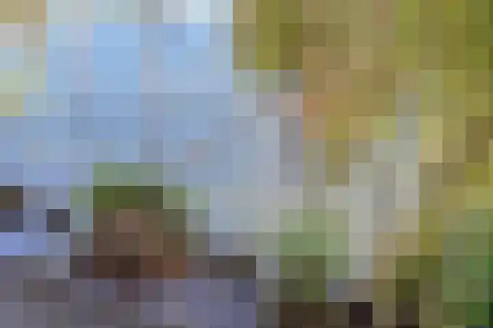 Muidertrekvaart 2 WNSP Muiden thumbnail 23