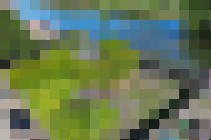 Muidertrekvaart 2 WNSP Muiden thumbnail 24
