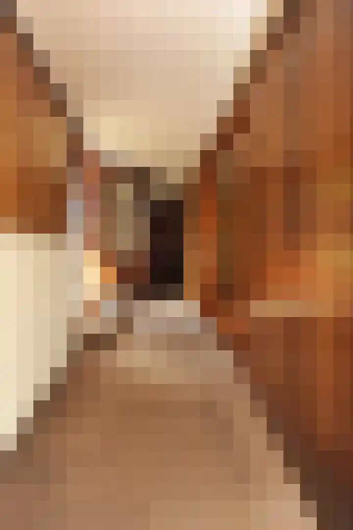 Muidertrekvaart 2 WNSP Muiden thumbnail 5