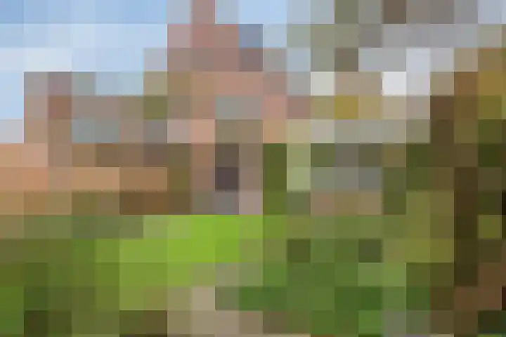 Muiderweg 17 Zeewolde thumbnail 41