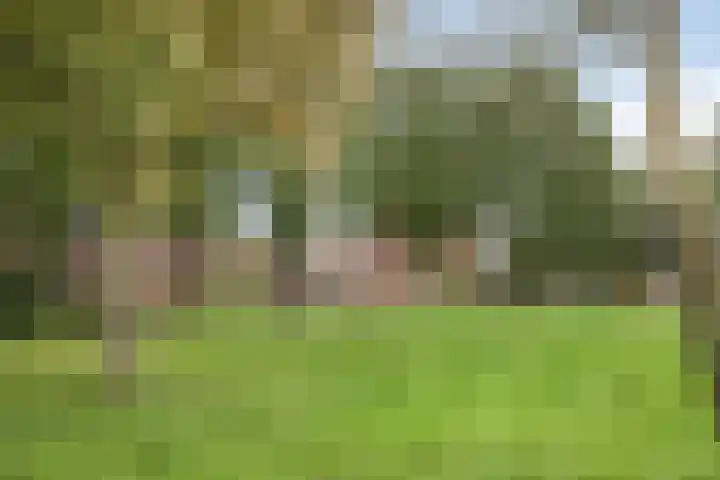 Muiderweg 17 Zeewolde thumbnail 43