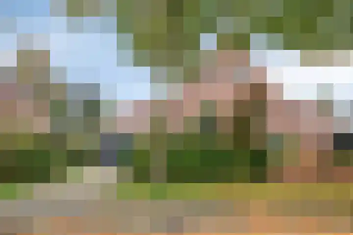 Muiderweg 17 Zeewolde thumbnail 5