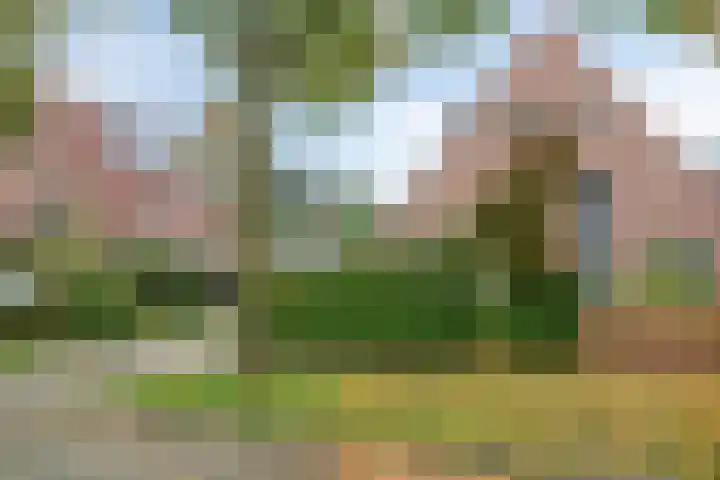 Muiderweg 17 Zeewolde thumbnail 6