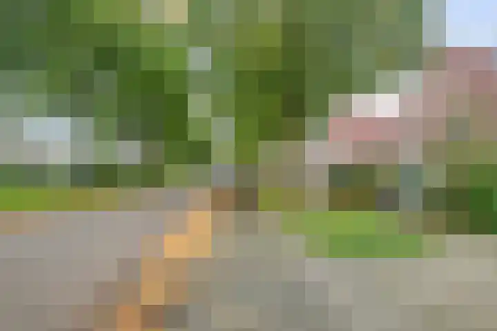 Muiderweg 17 Zeewolde thumbnail 7