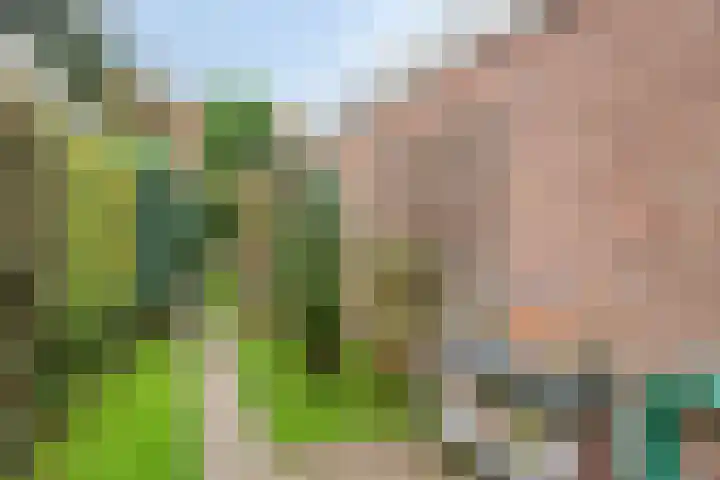 Muiderweg 17 Zeewolde thumbnail 9