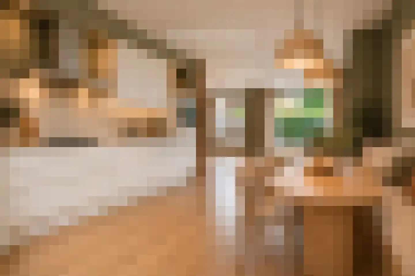 Muiderweg 43 Zeewolde thumbnail 4
