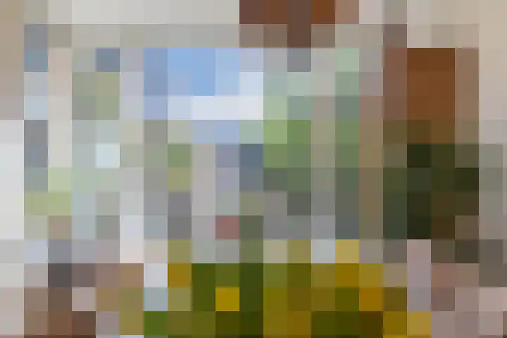 Muiderzand 11 Huizen thumbnail 10
