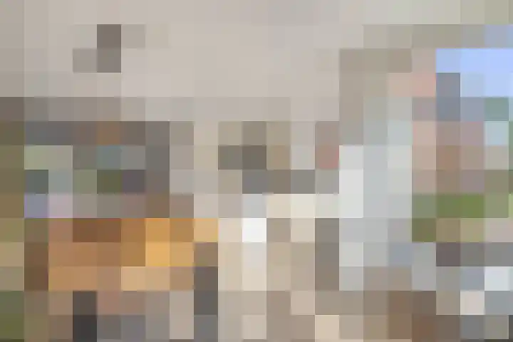 Muiderzand 11 Huizen thumbnail 11