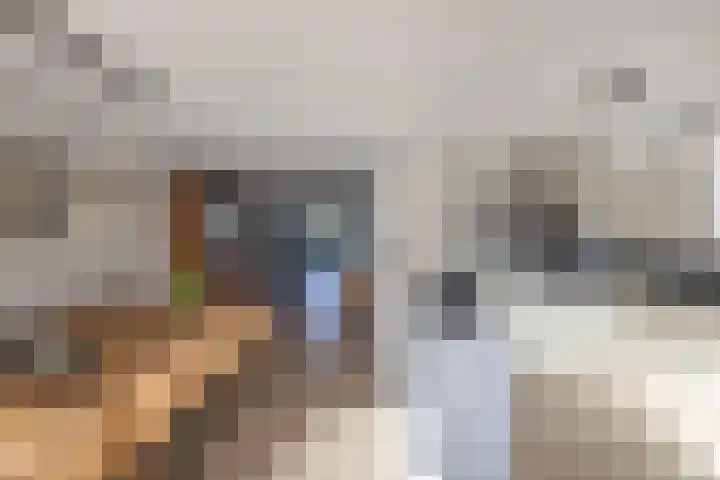 Muiderzand 11 Huizen thumbnail 13