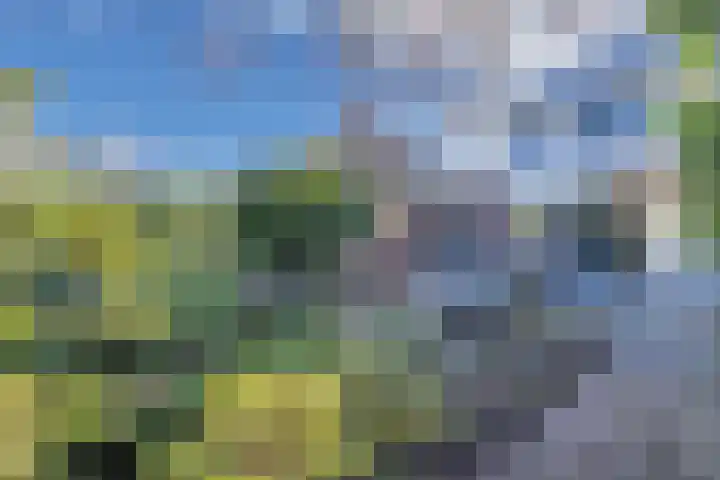Muiderzand 11 Huizen thumbnail 18