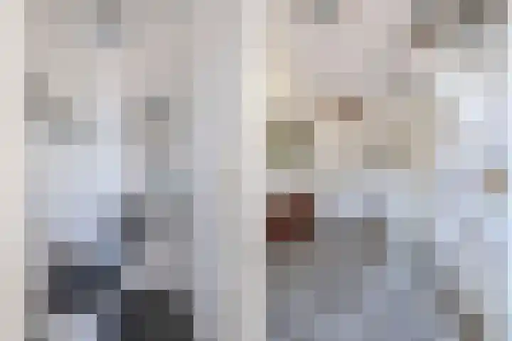 Muiderzand 11 Huizen thumbnail 20