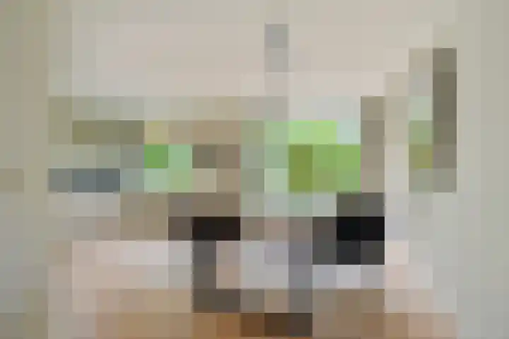 Muiderzand 4 Huizen thumbnail 20