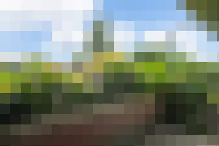 Muiderzand 4 Huizen thumbnail 31