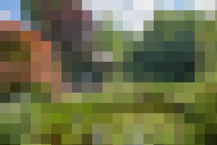 Muiderzand 4 Huizen thumbnail 48
