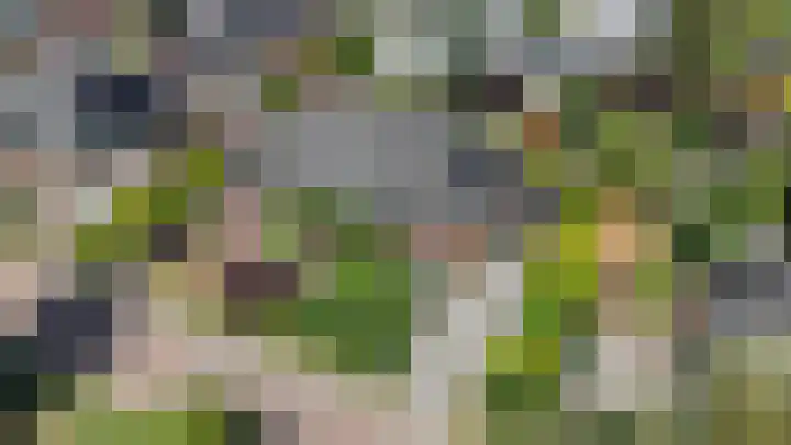 Muiderzand 4 Huizen thumbnail 55