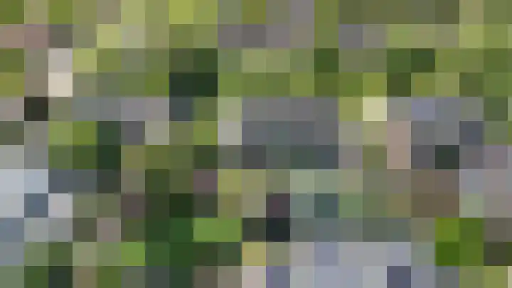 Muiderzand 4 Huizen thumbnail 56