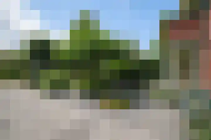 Muiderzand 4 Huizen thumbnail 6