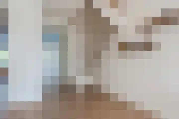 Muijeveld 11 Vinkeveen thumbnail 14