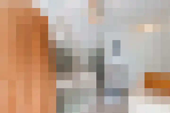 Muijeveld 11 Vinkeveen thumbnail 25