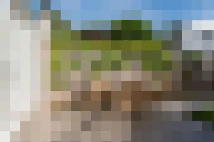 Muijeveld 11 Vinkeveen thumbnail 37