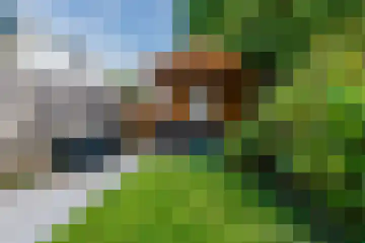 Muijeveld 11 Vinkeveen thumbnail 39
