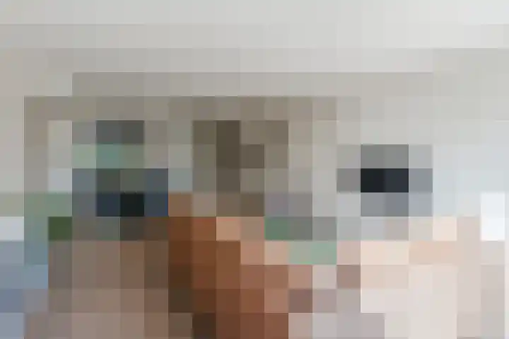 Muijeveld 11 Vinkeveen thumbnail 4