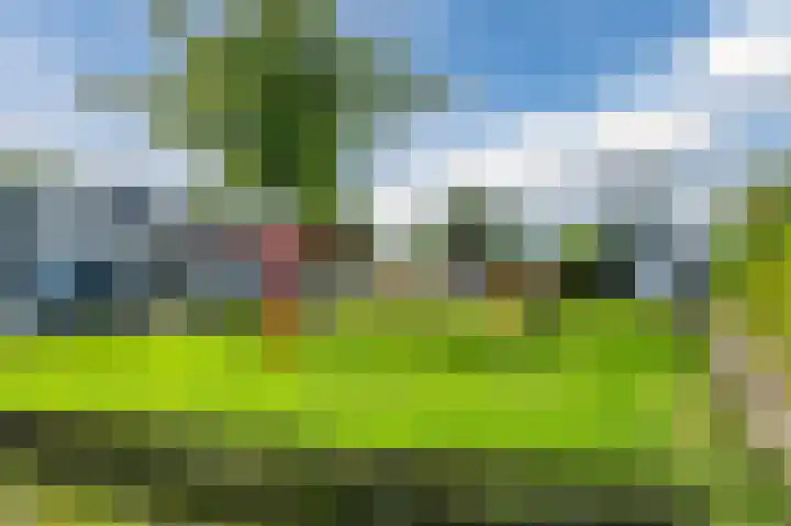 Muijeveld 11 Vinkeveen thumbnail 43