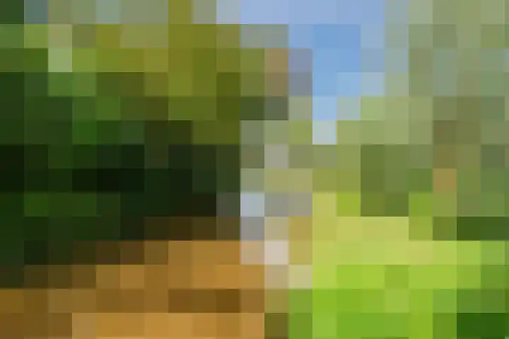 Muijeveld 11 Vinkeveen thumbnail 45