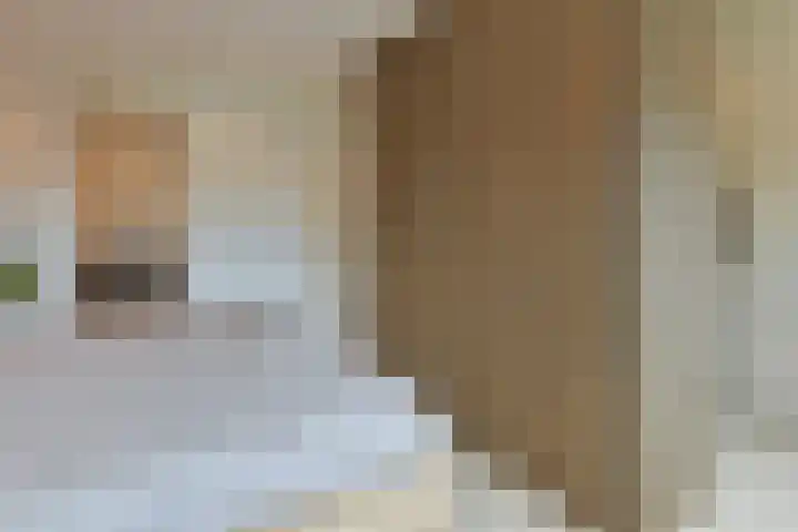 Muijeveld 2 Vinkeveen thumbnail 15
