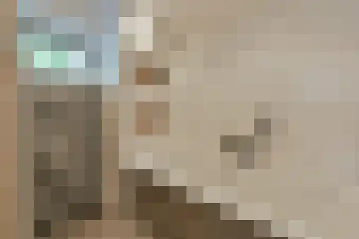 Muijeveld 2 Vinkeveen thumbnail 18