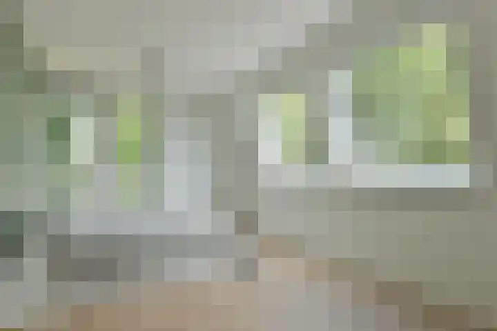 Muijeveld 2 Vinkeveen thumbnail 22