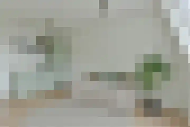 Muijeveld 2 Vinkeveen thumbnail 25