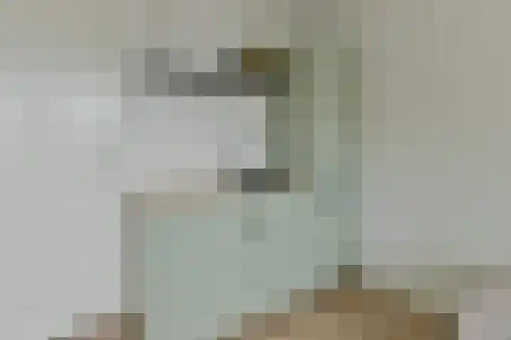 Muijeveld 2 Vinkeveen thumbnail 26