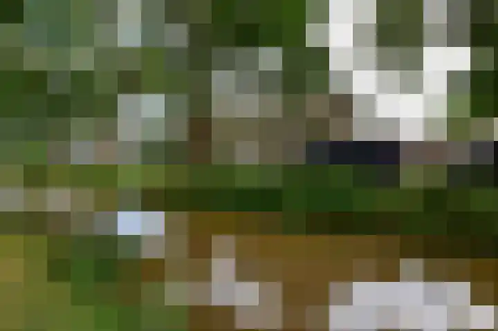 Muijeveld 2 Vinkeveen thumbnail 33