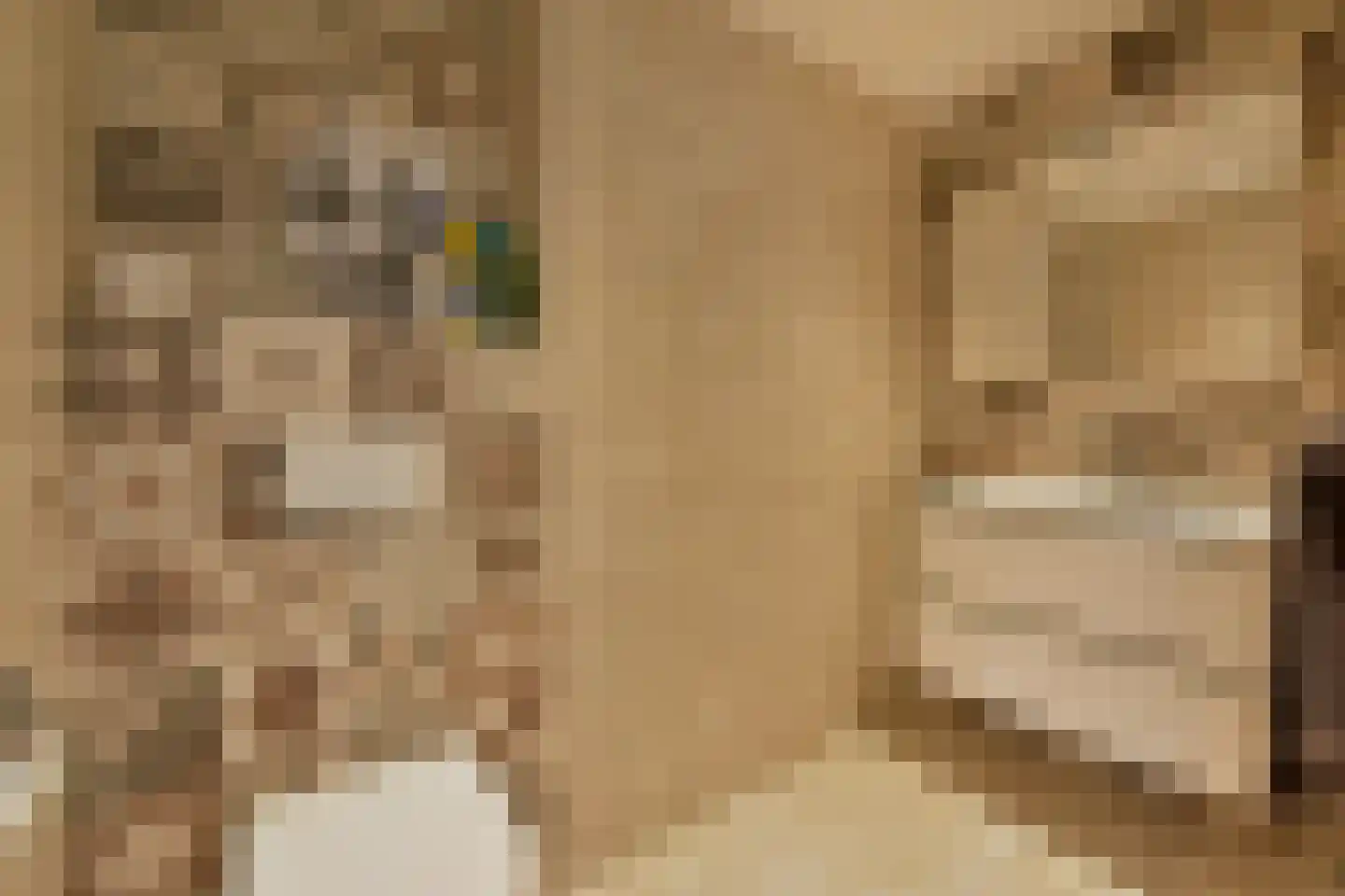 Muijeveld 37 Vinkeveen thumbnail 23