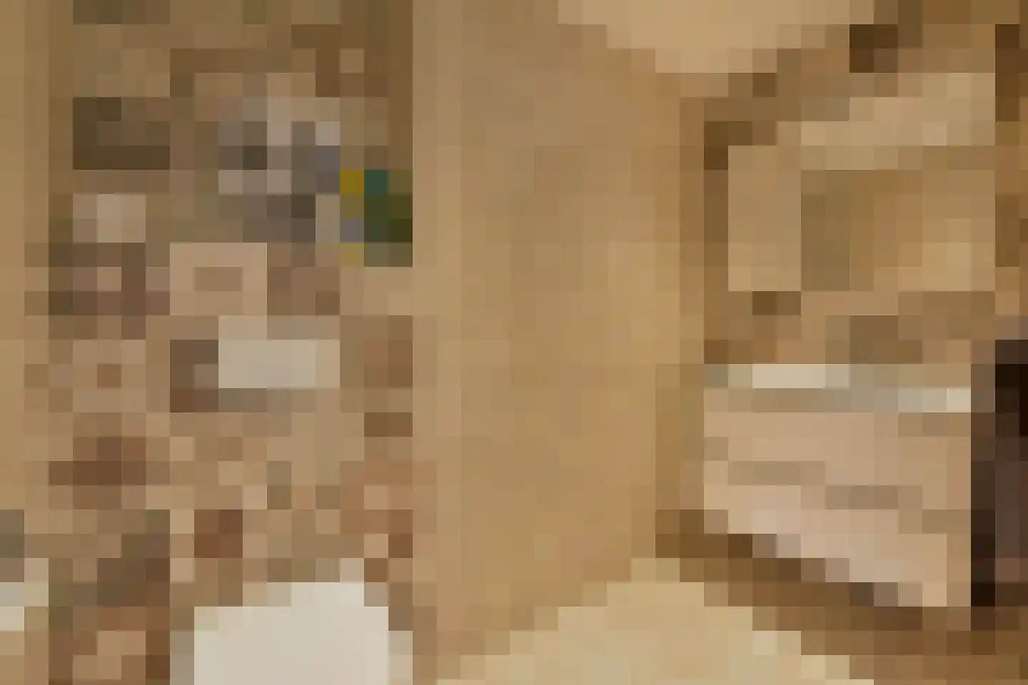 Muijeveld 37 Vinkeveen thumbnail 23