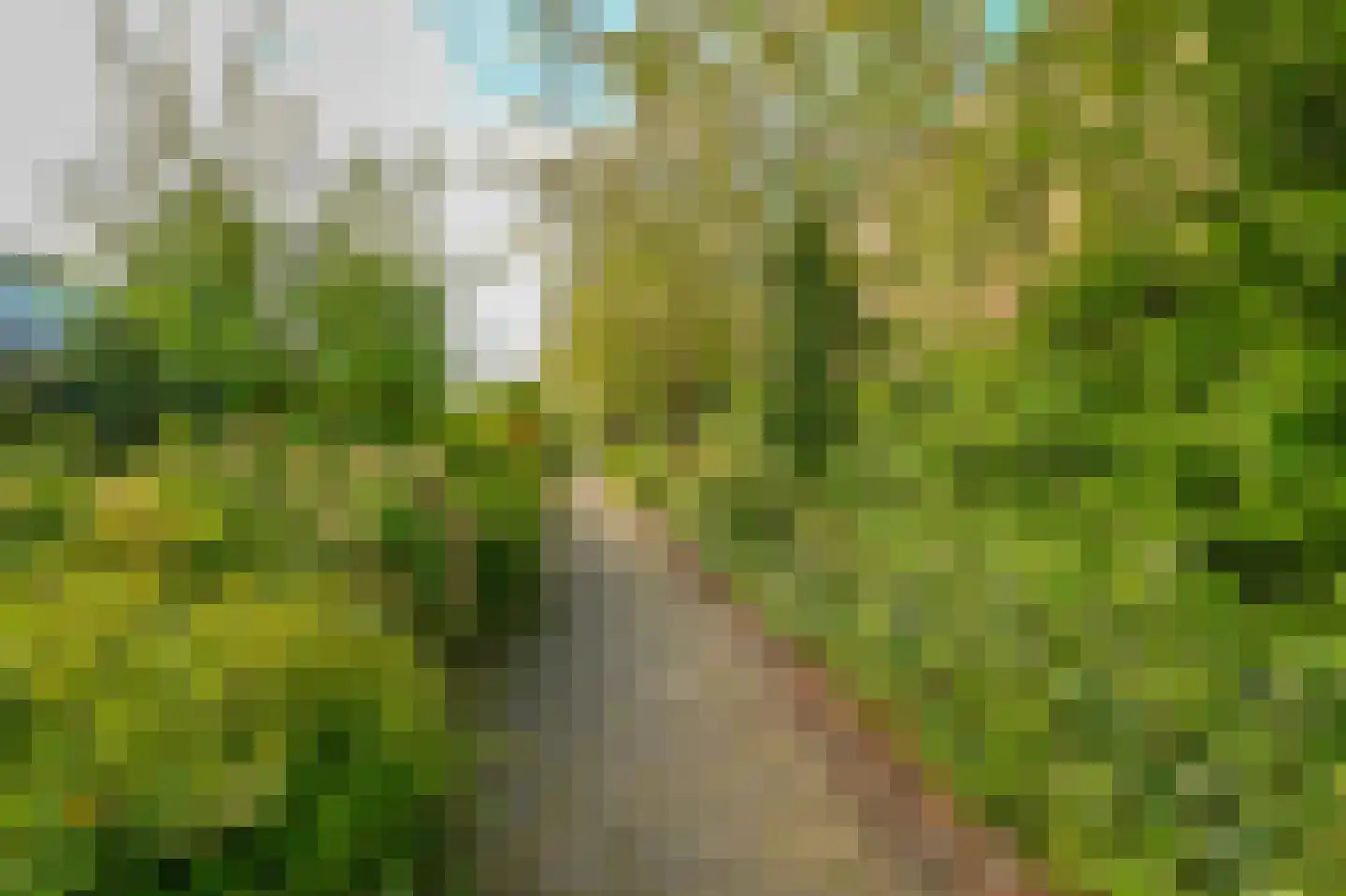 Muijeveld 37 Vinkeveen thumbnail 40