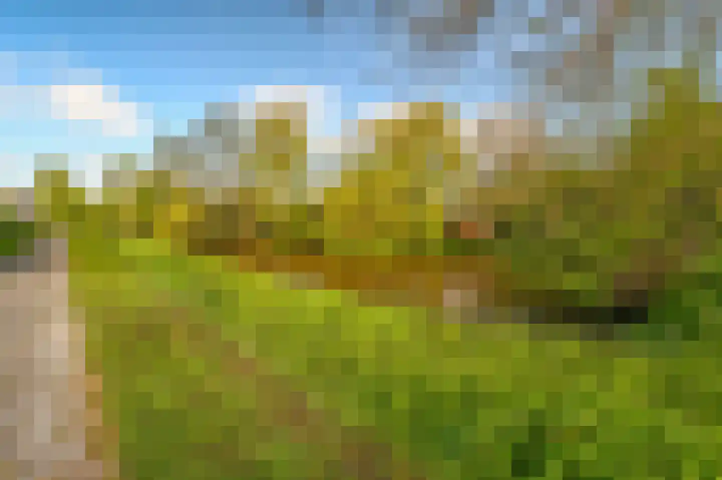 Muijeveld 37 Vinkeveen thumbnail 41